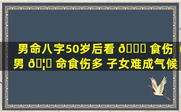 男命八字50岁后看 🐅 食伤（男 🦆 命食伤多 子女难成气候）